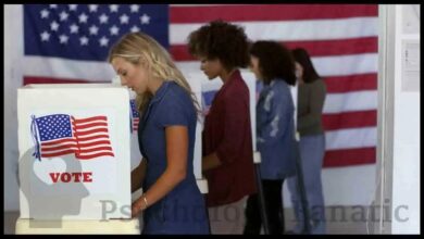 system justification theory